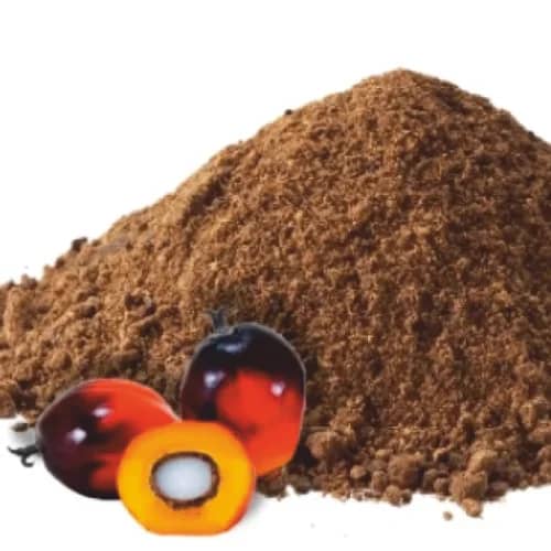 Palm kernel cake feed meal